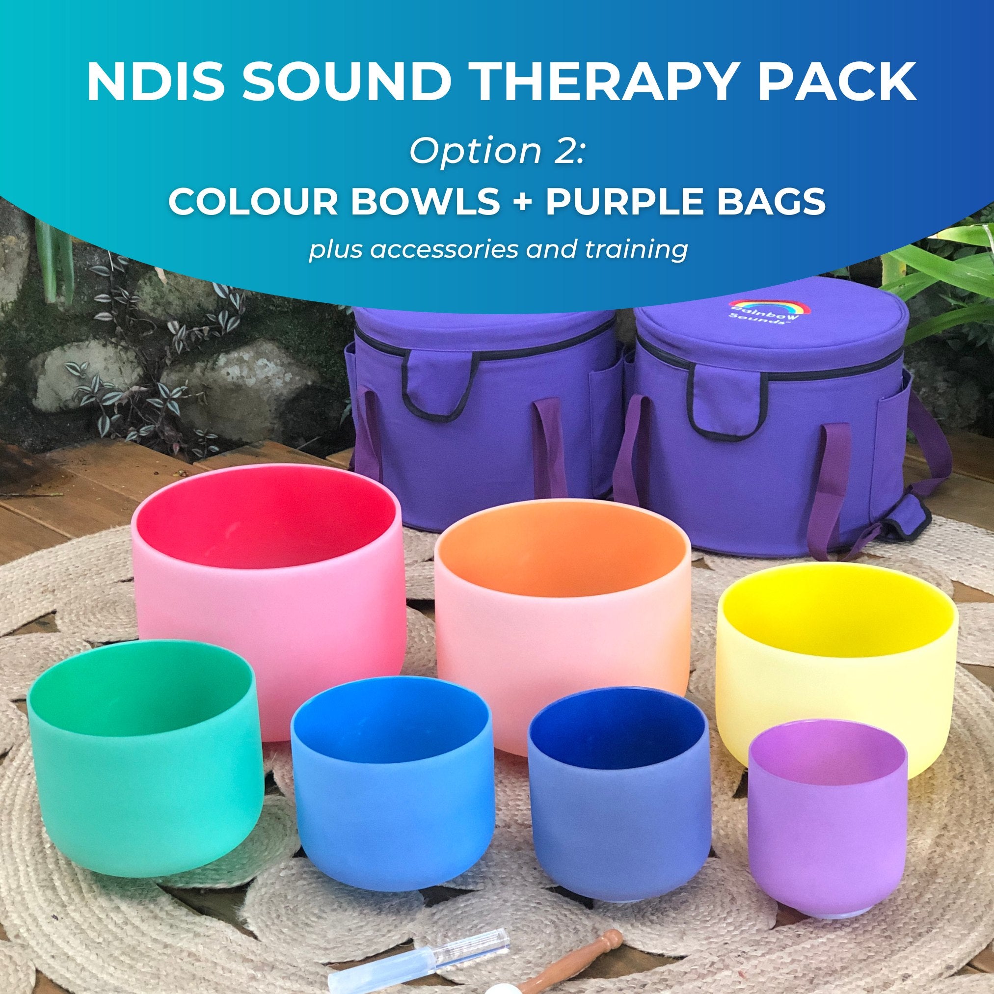 NDIS Sound Therapy Tools + Online Training Pack