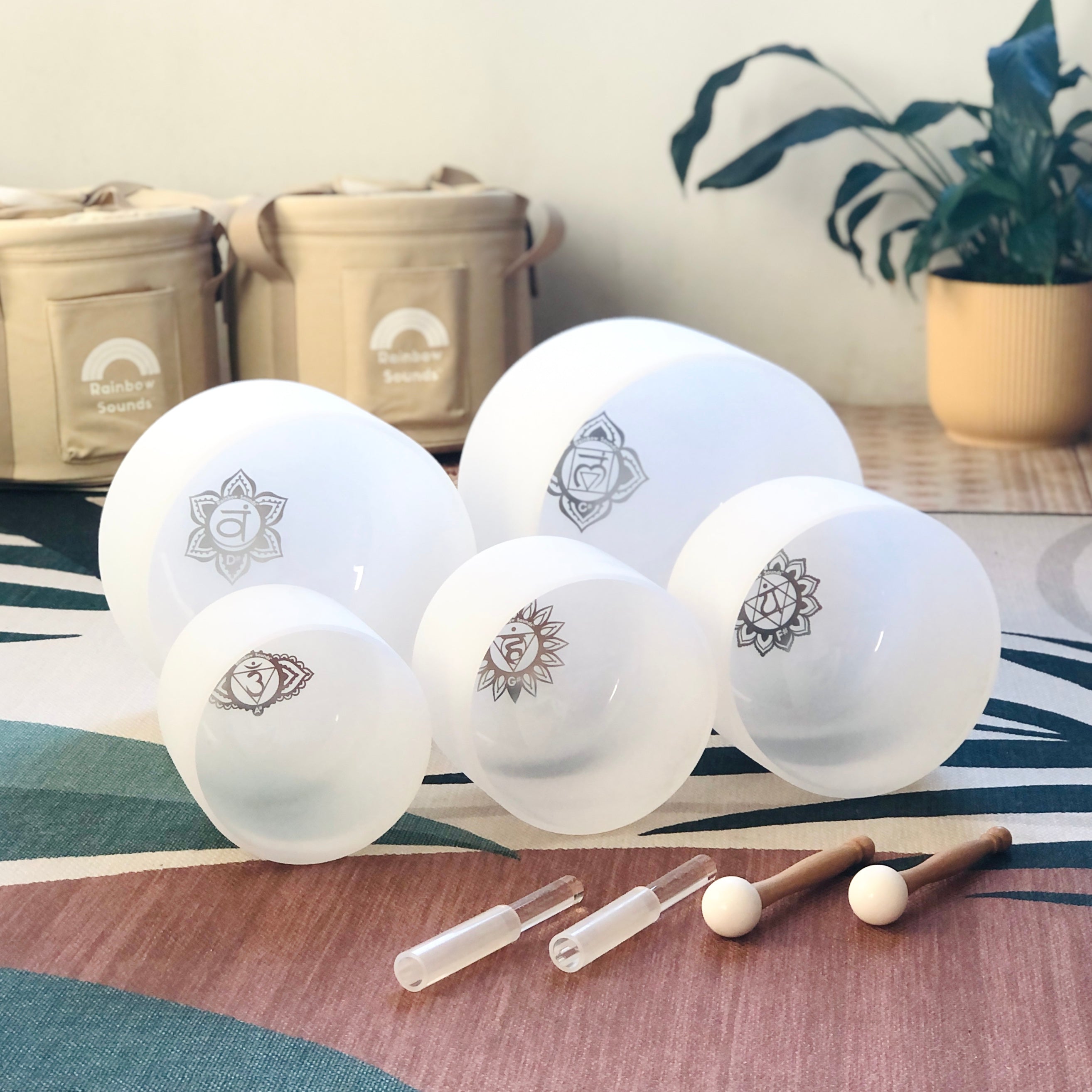 SHARP NOTES | Set of 5 White Crystal Singing Bowls in Beige  Bags