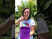 Crown chakra crystal singing bowl